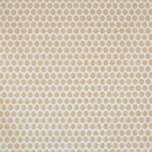 Prism Limestone