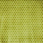 Prism Wasabi