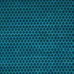 Prism Petrol