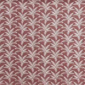 Allegro Juniper