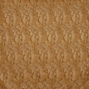 Tai Honey