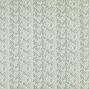 Fitzrovia Laurel