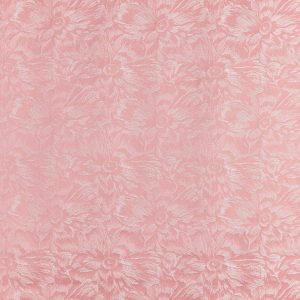 Cherie Meringue