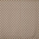 Lodore Cinnamon