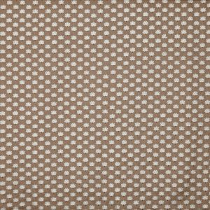 Lodore Cinnamon