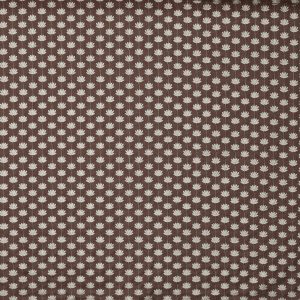 Lodore Cedar