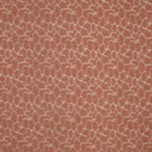 Rockliffe Cinnamon
