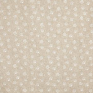Periwinkle Oyster