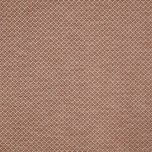 Westwood Apricot