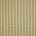 Form Spruce