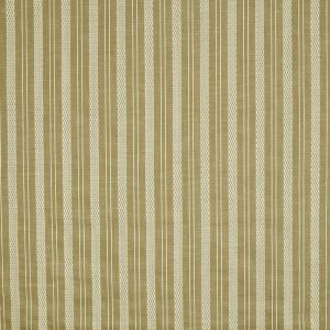 Form Spruce