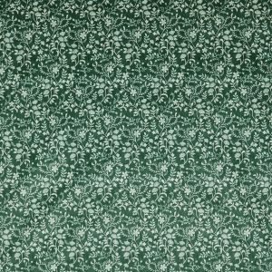 Brunei Emerald (pts104)