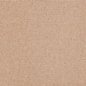 Turner Apricot