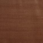 Burton Apricot