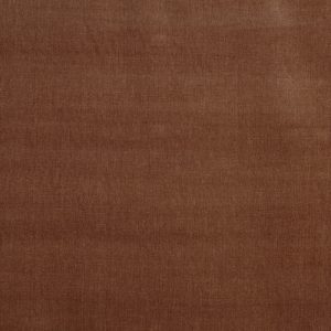 Burton Apricot
