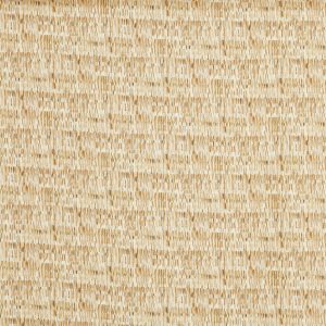 Bobbi Ochre (pts127)