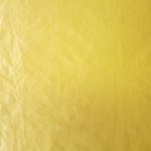 Polo Oak Apple