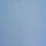 Polo Bluebell