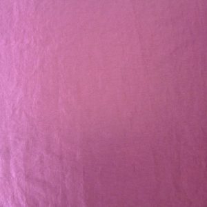 Polo Elderberry