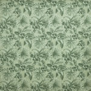 Rosebelle Rainforest