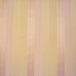 Solar Stripe Rose
