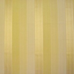 Solar Stripe Avocado