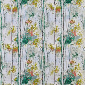 Silver Birch Willow