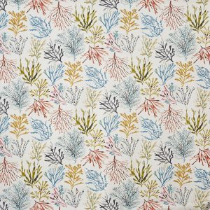Coral Tropical