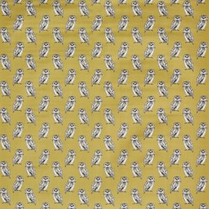 Owlet Olive