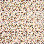 Dot To Dot Pvc Carnival
