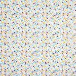 Dot To Dot Pvc Bon Bon