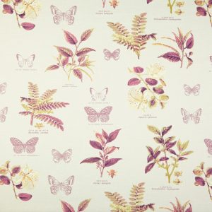 Botany Vintage