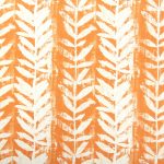 Morella Mandarin
