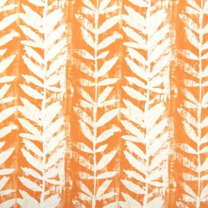 Morella Mandarin