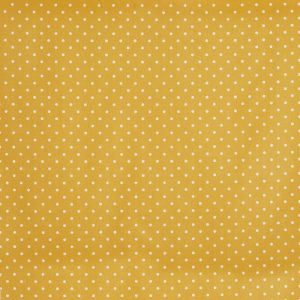 Full Stop Mustard