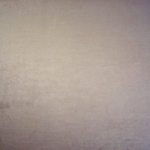 Palladium Latte