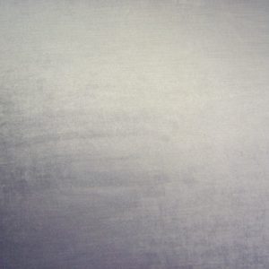 Palladium Larkspur