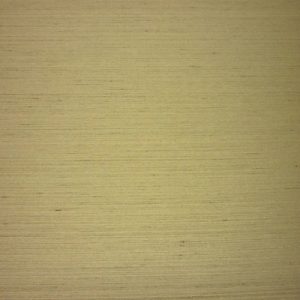 Taichung Steel