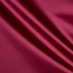 Chic Fuchsia