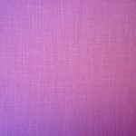 Wexford Violet