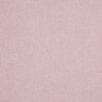 Saxon Rose