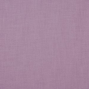 Saxon Lilac