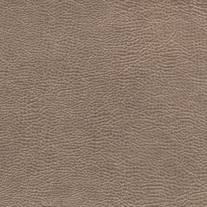 Buffalo Chestnut