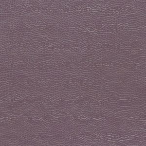 Buffalo Plum