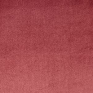 Velour Rosebud – Eco