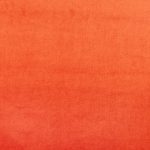 Velour Tango - Eco