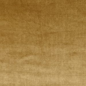Velour Gold – Eco