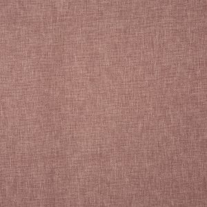 Oslo Clover