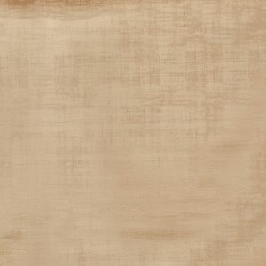 Imagination Biscotti - Eco