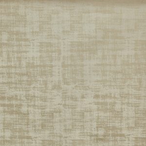 Imagination Camel – Eco